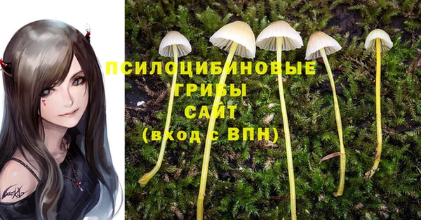гашиш Осинники