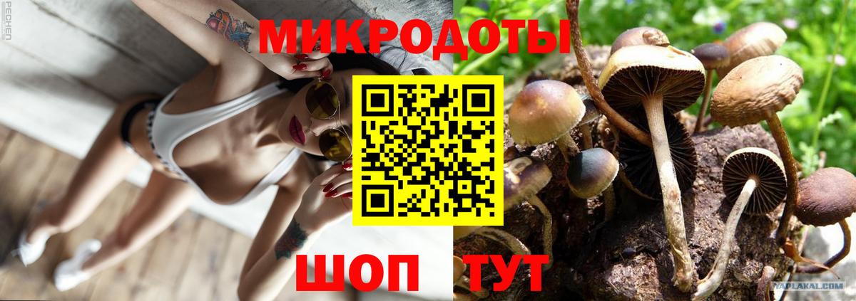 Галлюциногенные грибы Cubensis Алапаевск