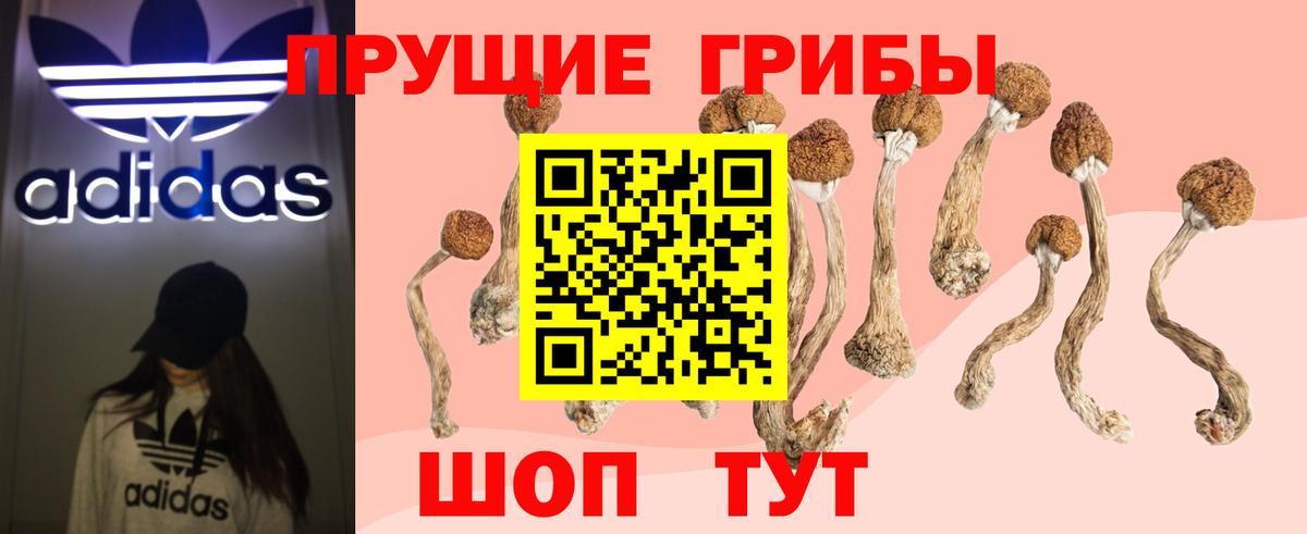 где купить наркоту  Псилоцибиновые грибы прущие грибы  Вход с VPN  Алапаевск 